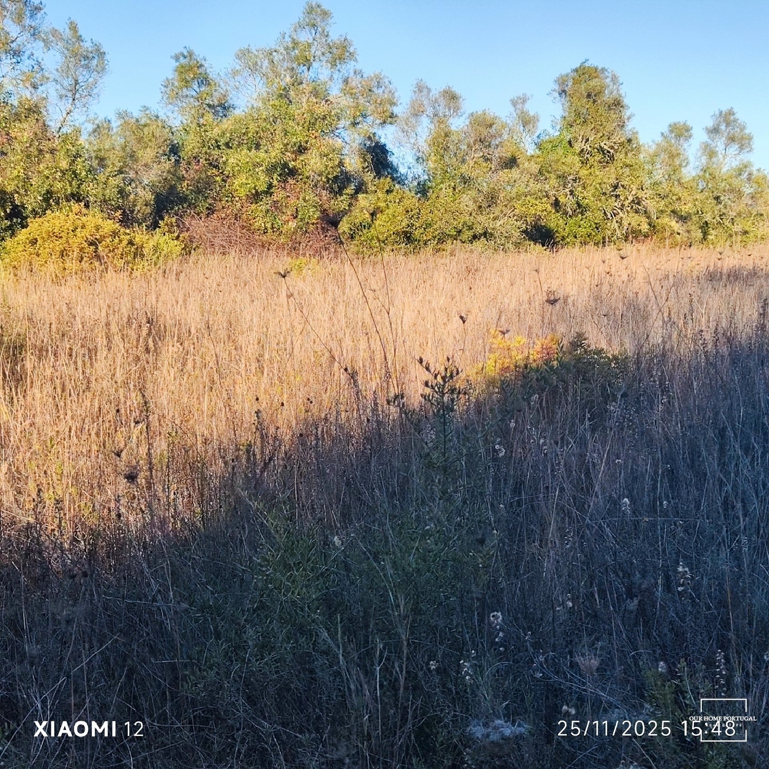  te koop terrein Loulé Loulé 6