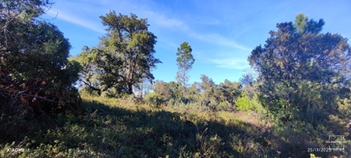 Loulé Loulé terrein foto 342893