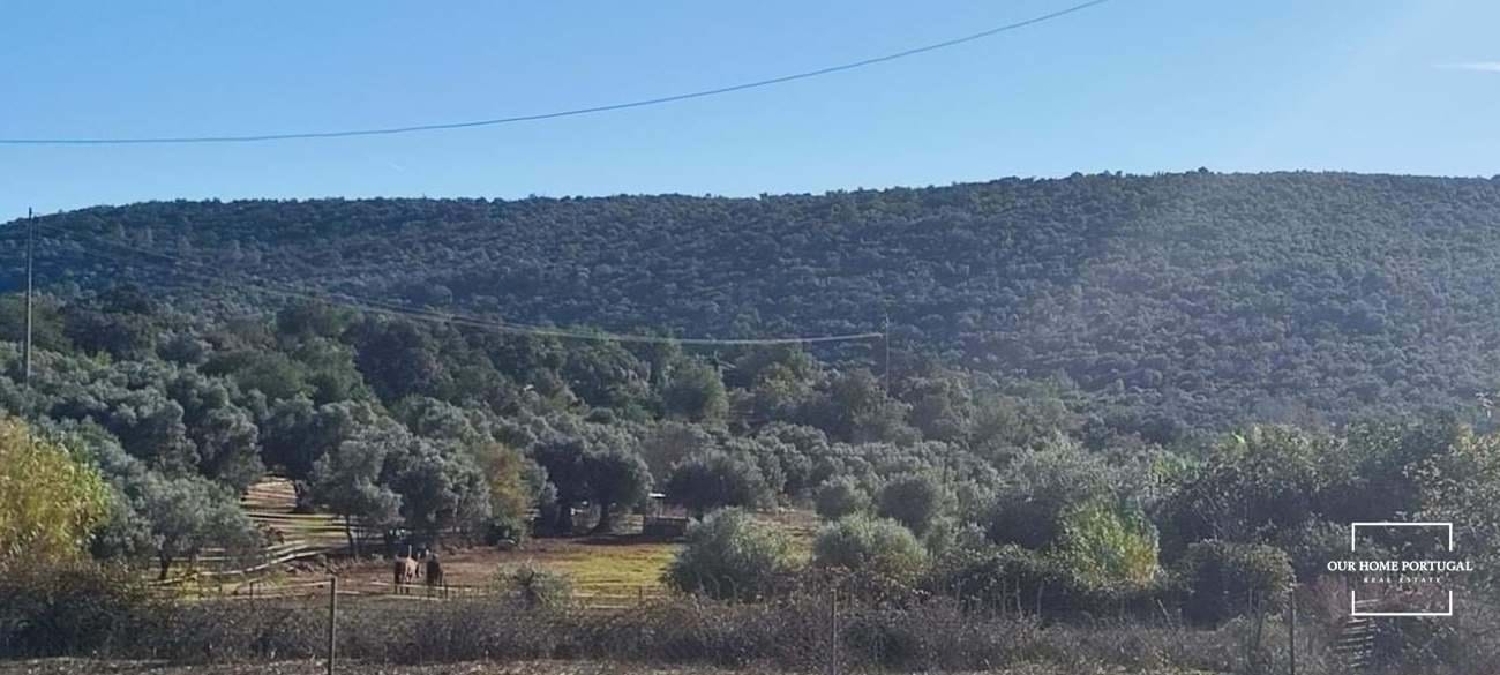  te koop terrein Loulé Loulé 5