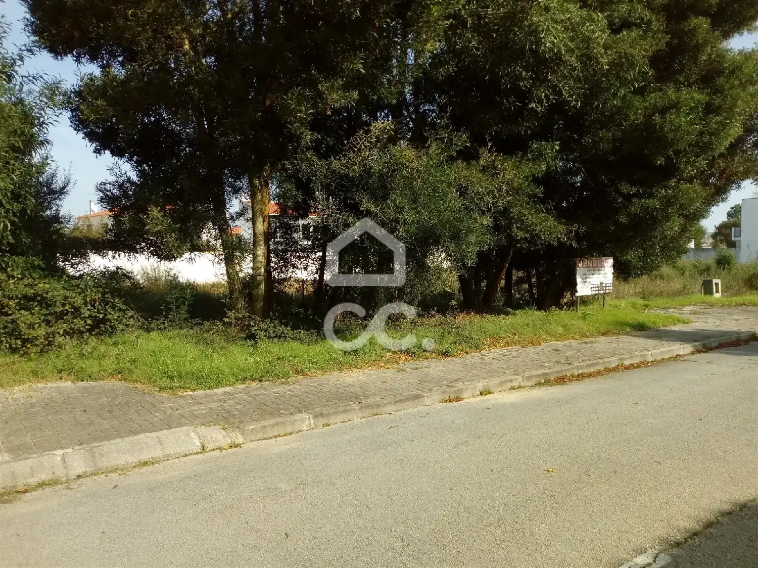  for sale terrain Marinha Grande Marinha Grande 4