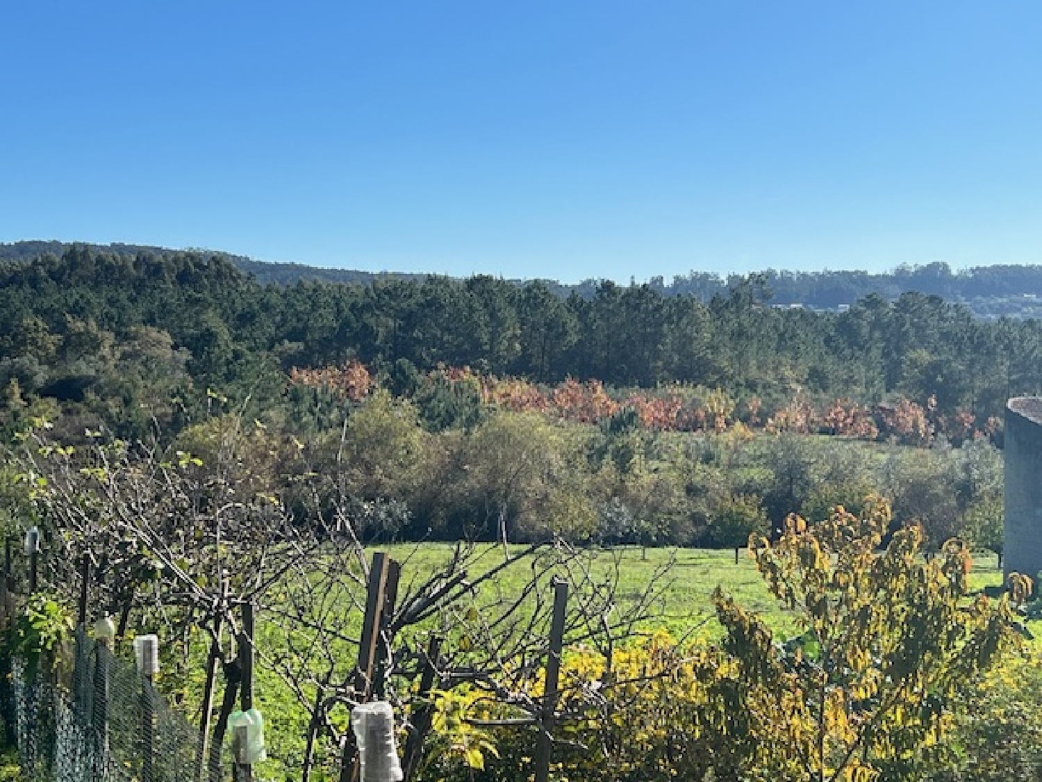  kaufen Grundstück Pampilhosa Mealhada 1