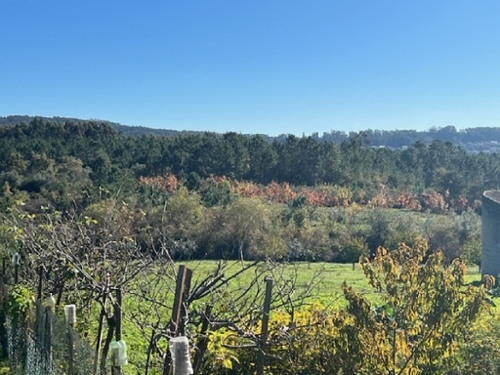 Pampilhosa Mealhada Grundstück Bild 343355