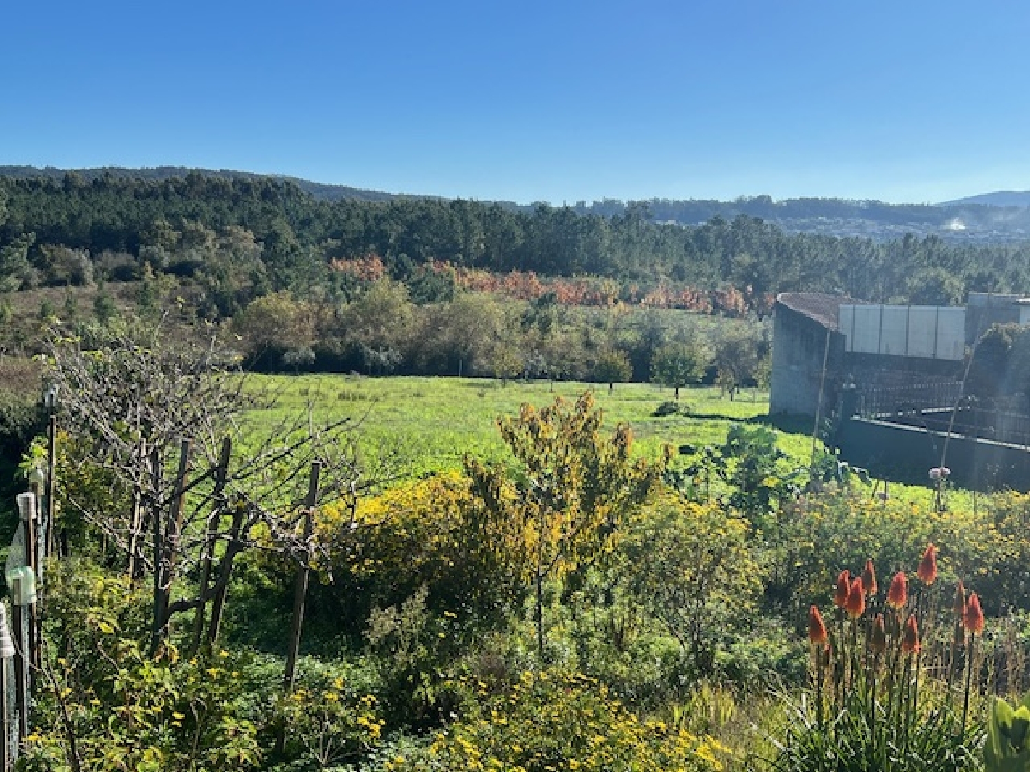  kaufen Grundstück Pampilhosa Mealhada 2