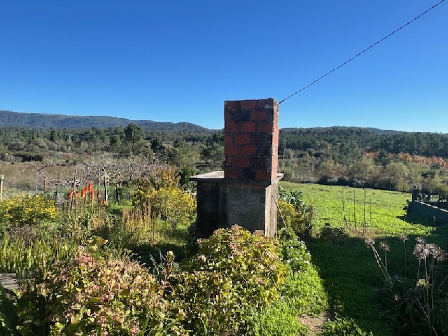  kaufen Grundstück Pampilhosa Mealhada 3