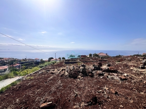 Santa Cruz Santa Cruz terreno foto 343807