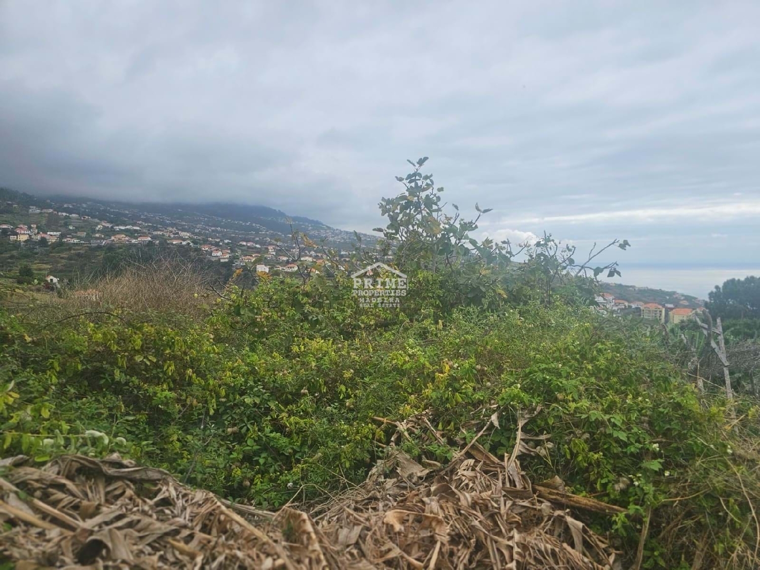  te koop villa Calheta Calheta (Madeira) 7