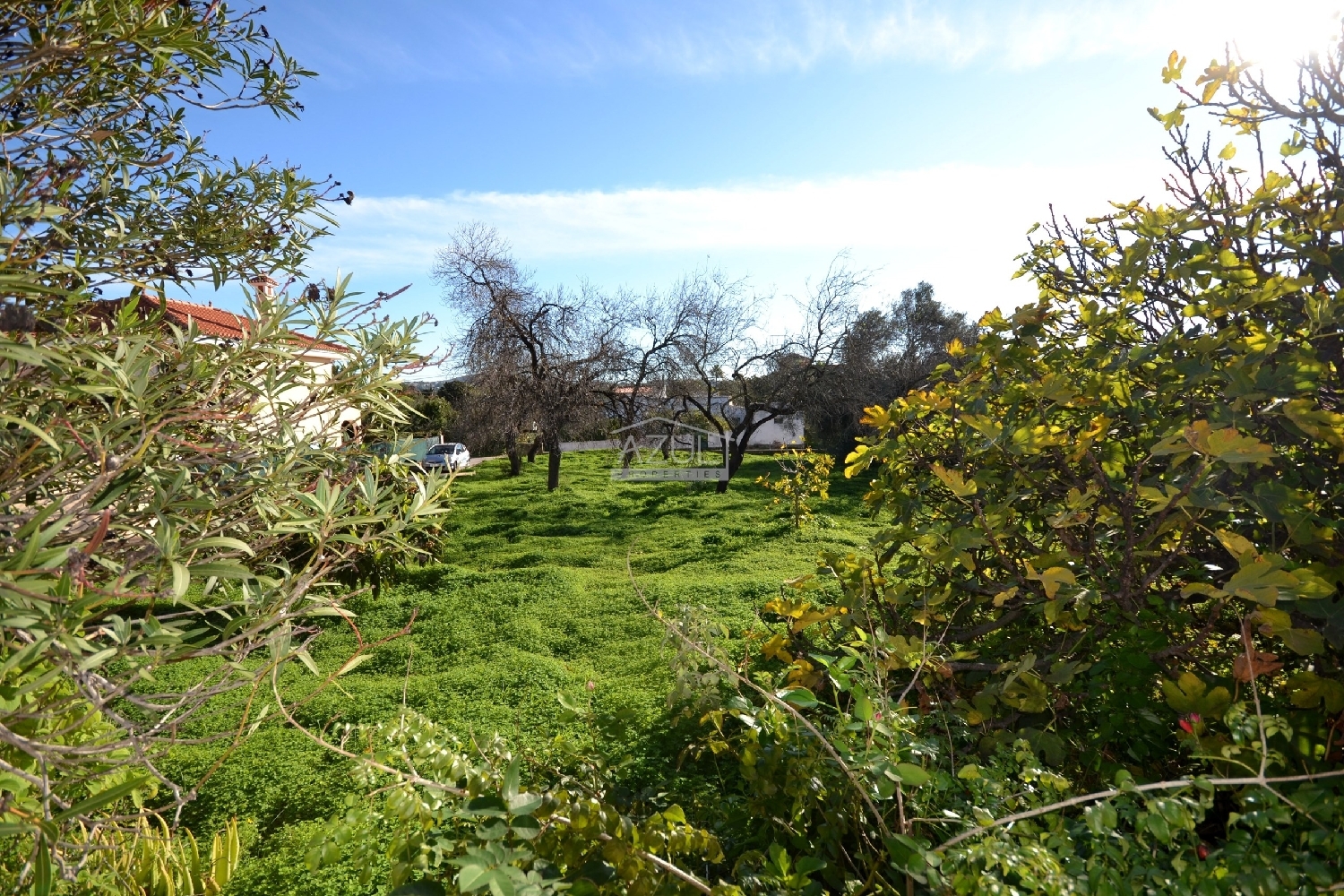  出售 别墅 Loulé Loulé 3