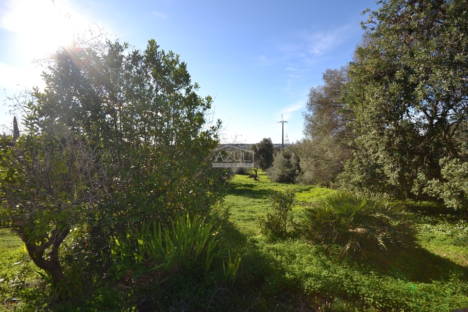  出售 别墅 Loulé Loulé 4