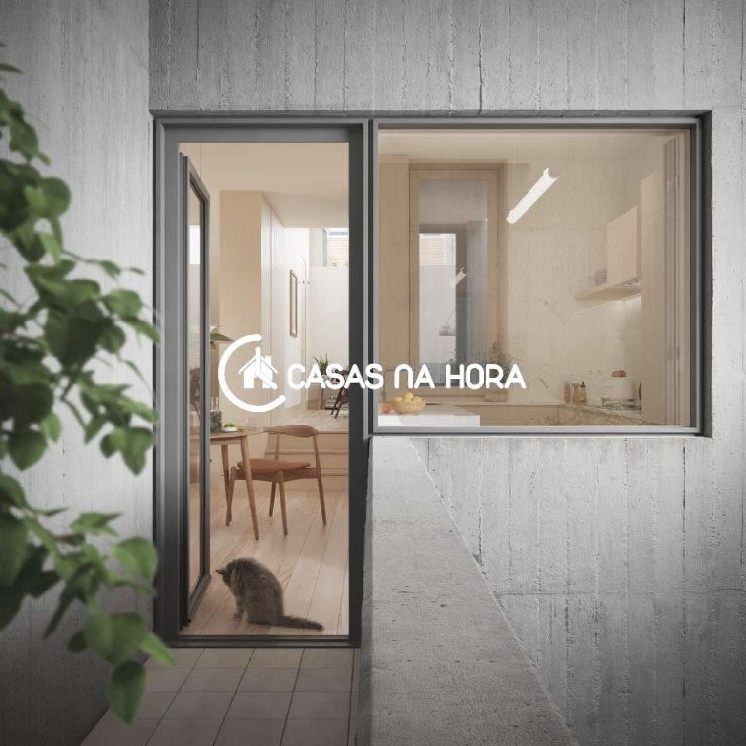  kaufen Wohnung/ Apartment Cabeça Santa Penafiel 3