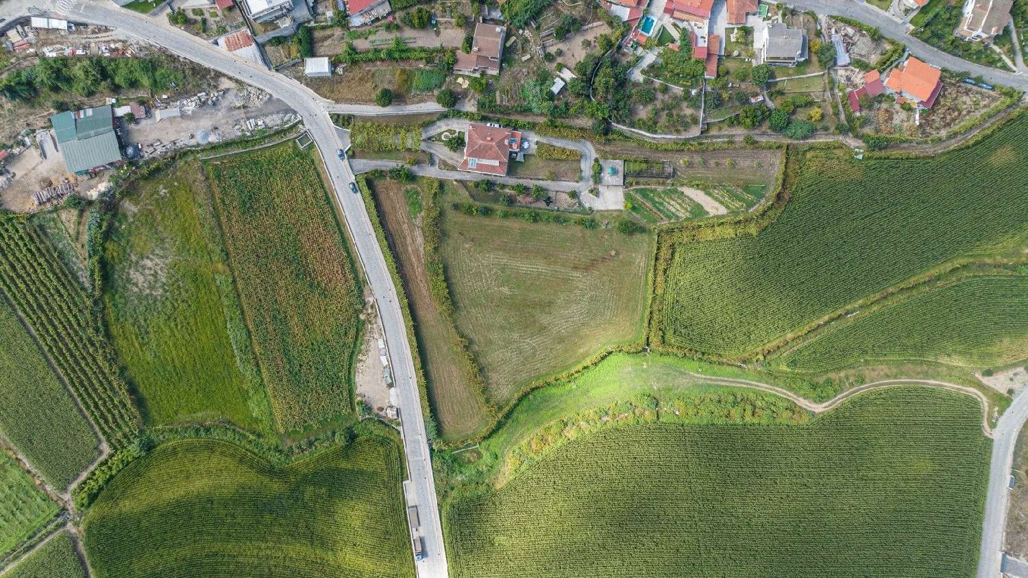  à vendre ferme Escudeiros Braga 5