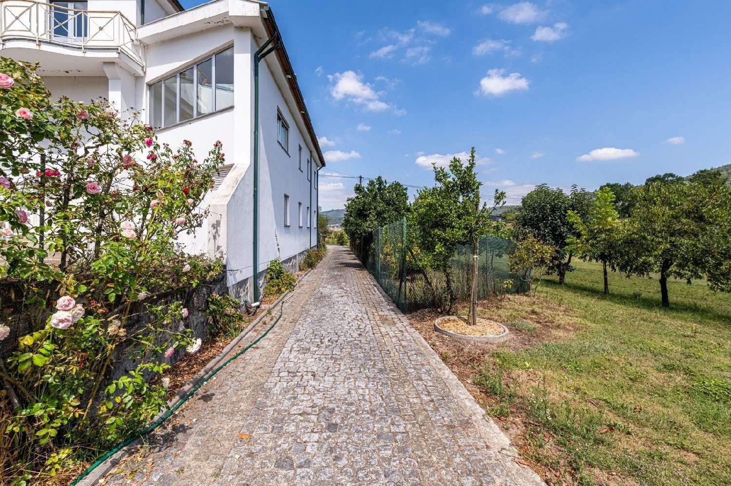  à vendre ferme Escudeiros Braga 7