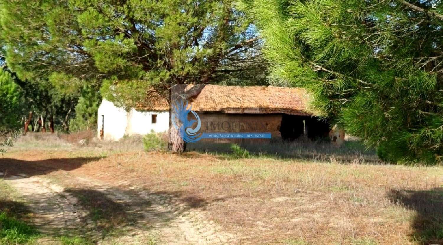 te koop boerderij Grândola Grândola 2
