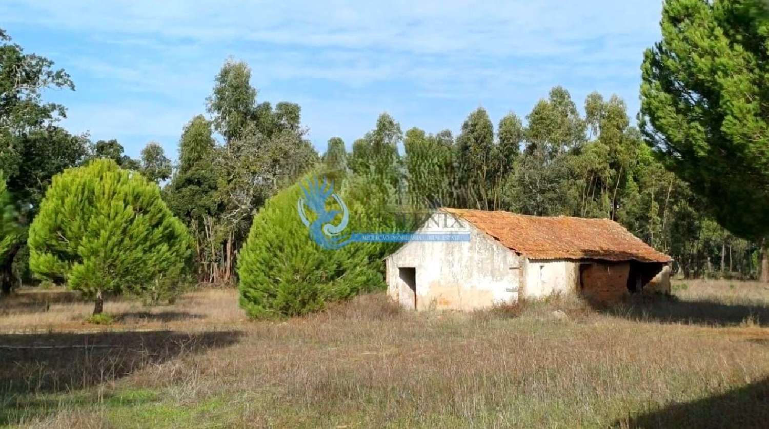  te koop boerderij Grândola Grândola 4