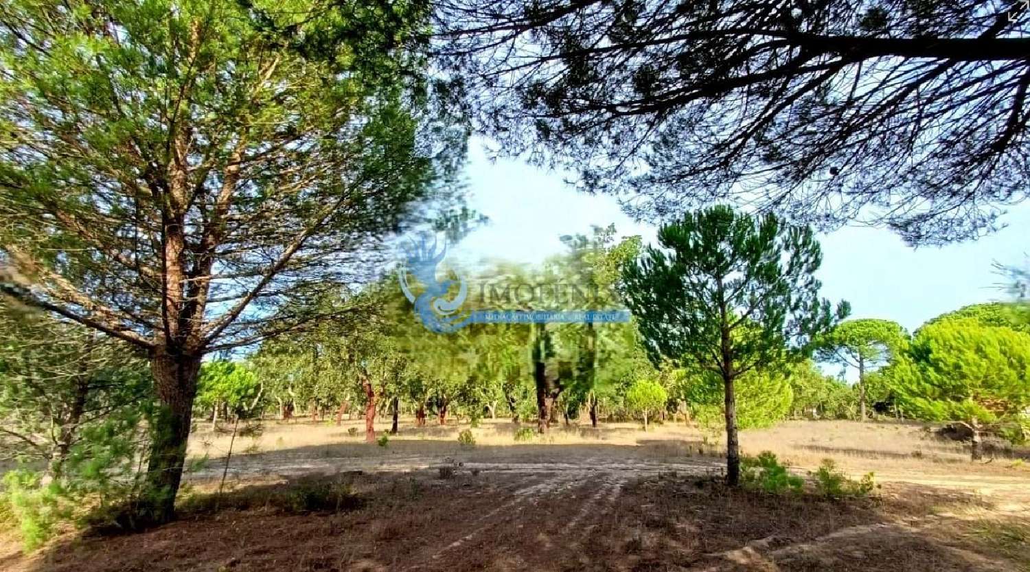  te koop boerderij Grândola Grândola 5
