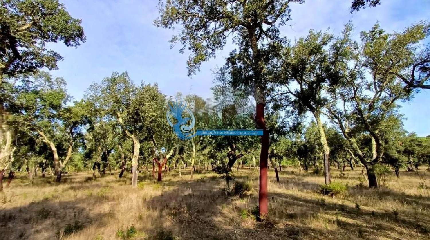  te koop boerderij Grândola Grândola 7