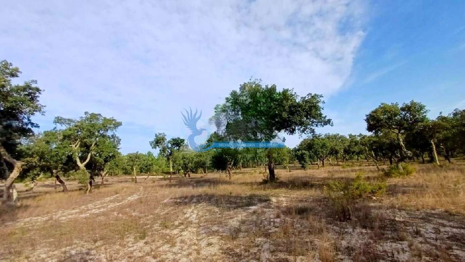  te koop boerderij Grândola Grândola 8