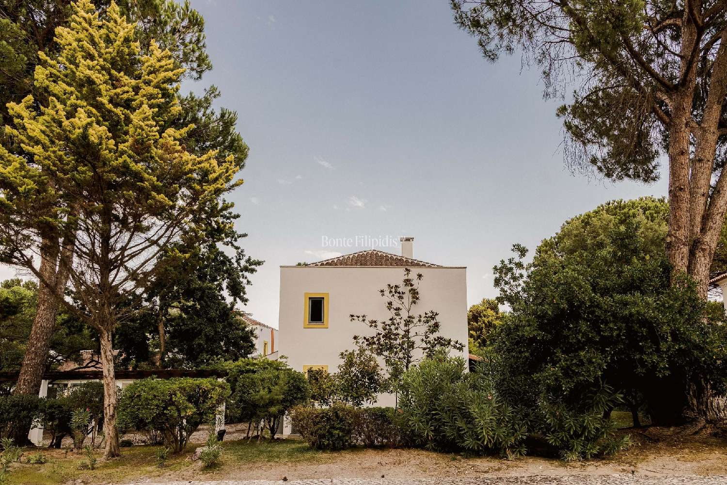  te koop boerderij Sesimbra Sesimbra 4