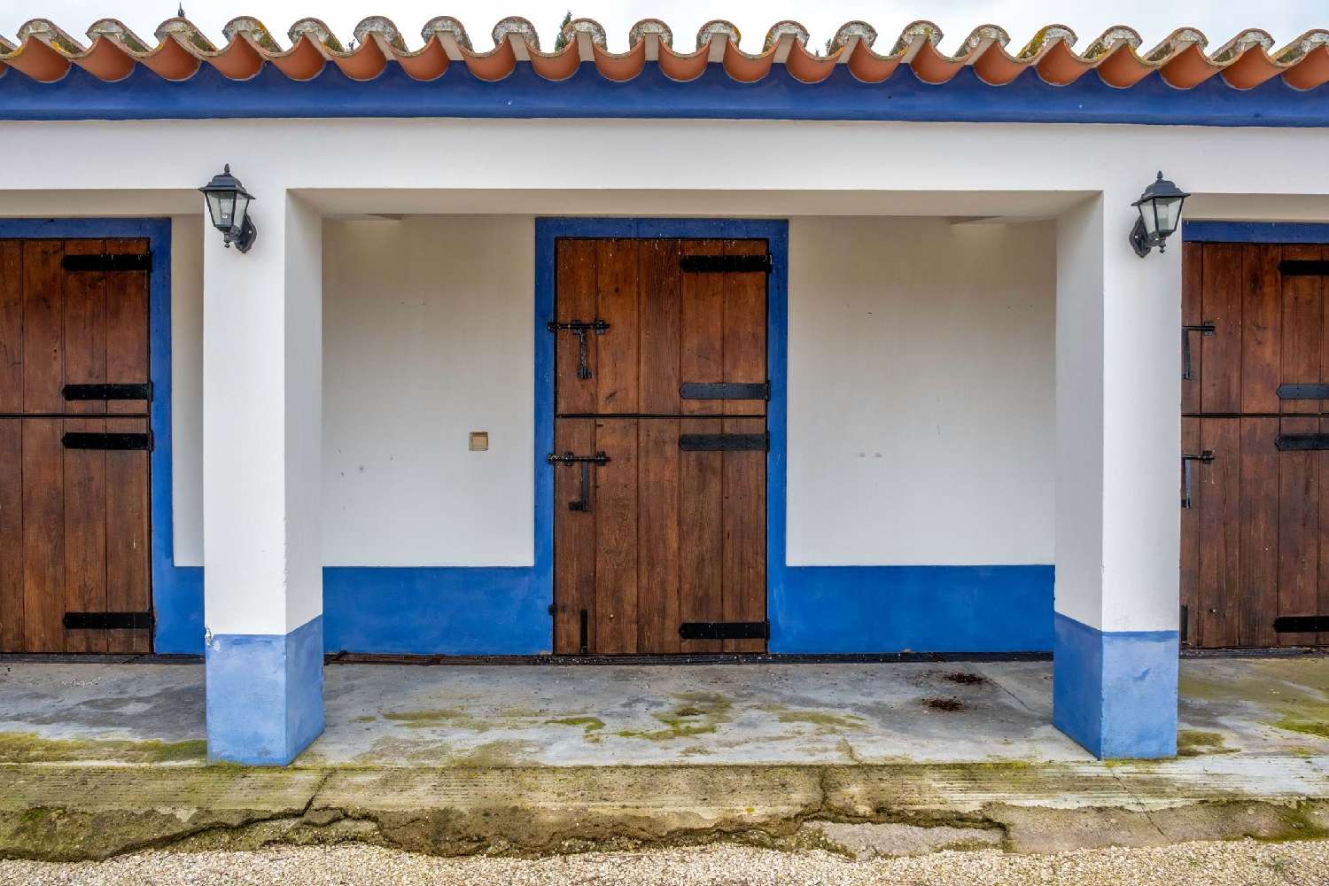  te koop boerderij Vidigueira Vidigueira 4