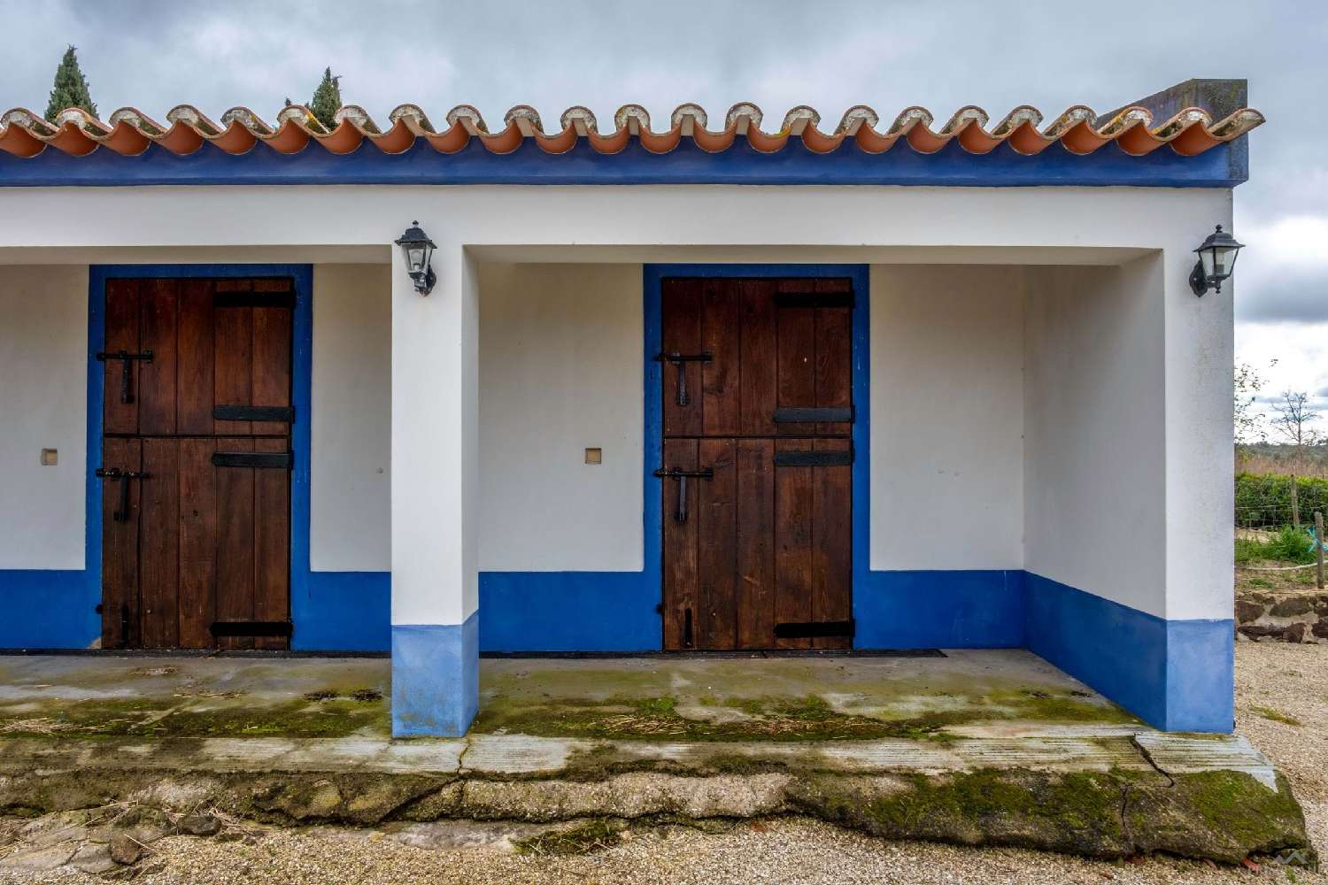  te koop boerderij Vidigueira Vidigueira 5