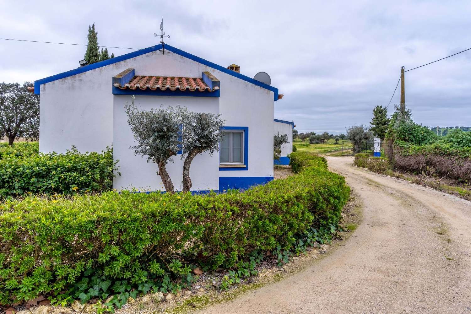  te koop boerderij Vidigueira Vidigueira 7