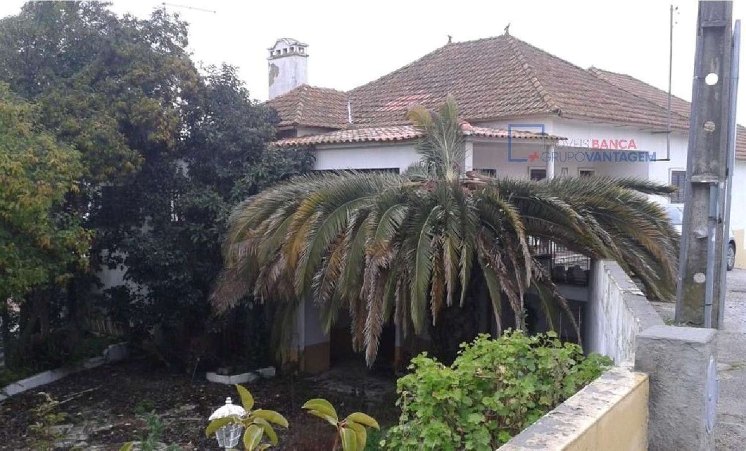  te koop huis Abrã Santarém 2