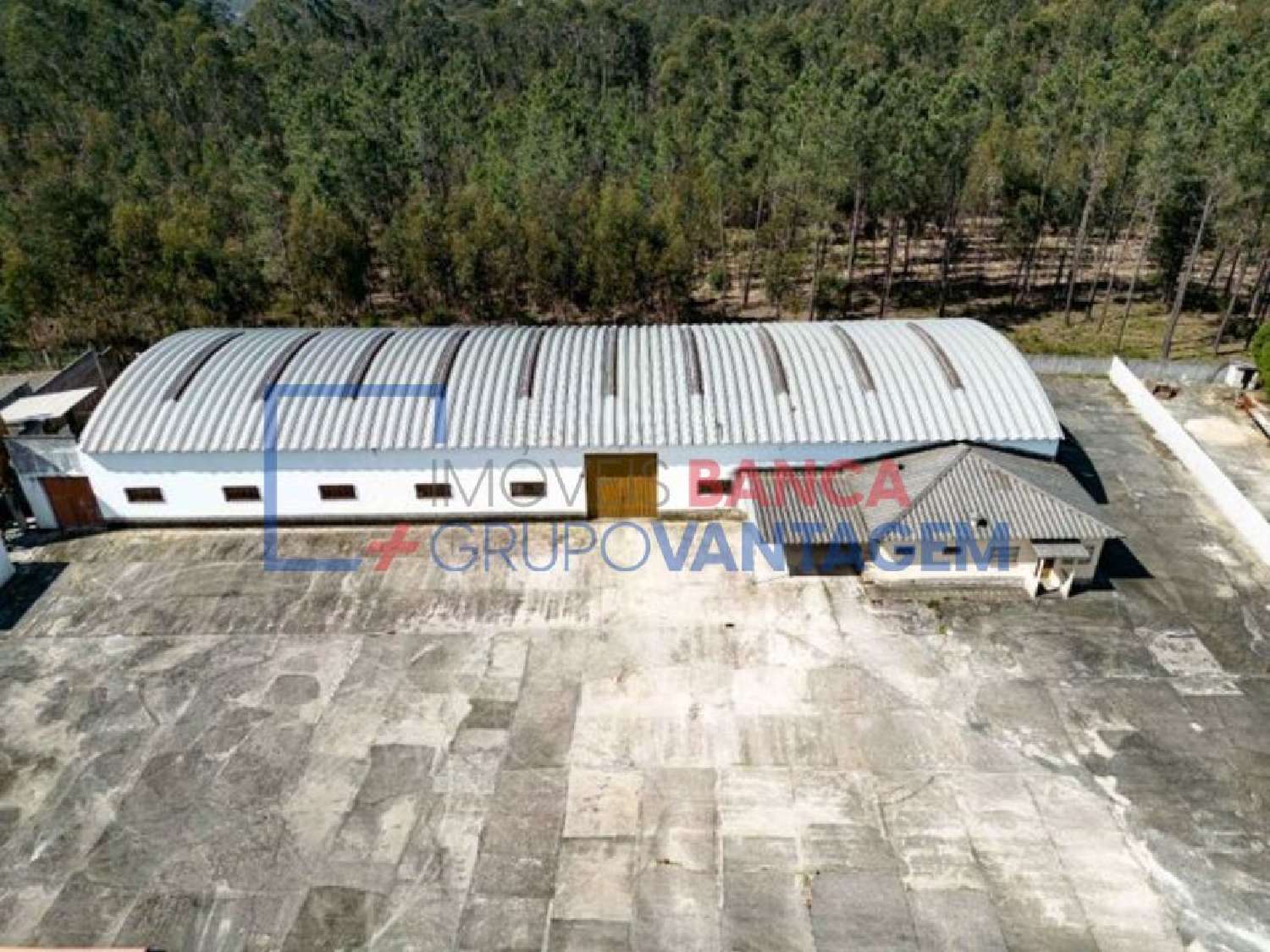  te koop huis Barcouço Mealhada 1