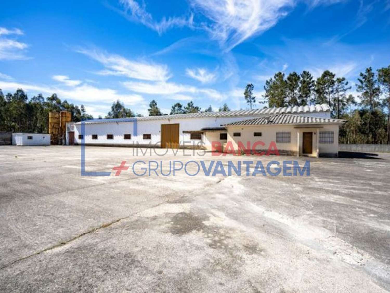  te koop huis Barcouço Mealhada 3