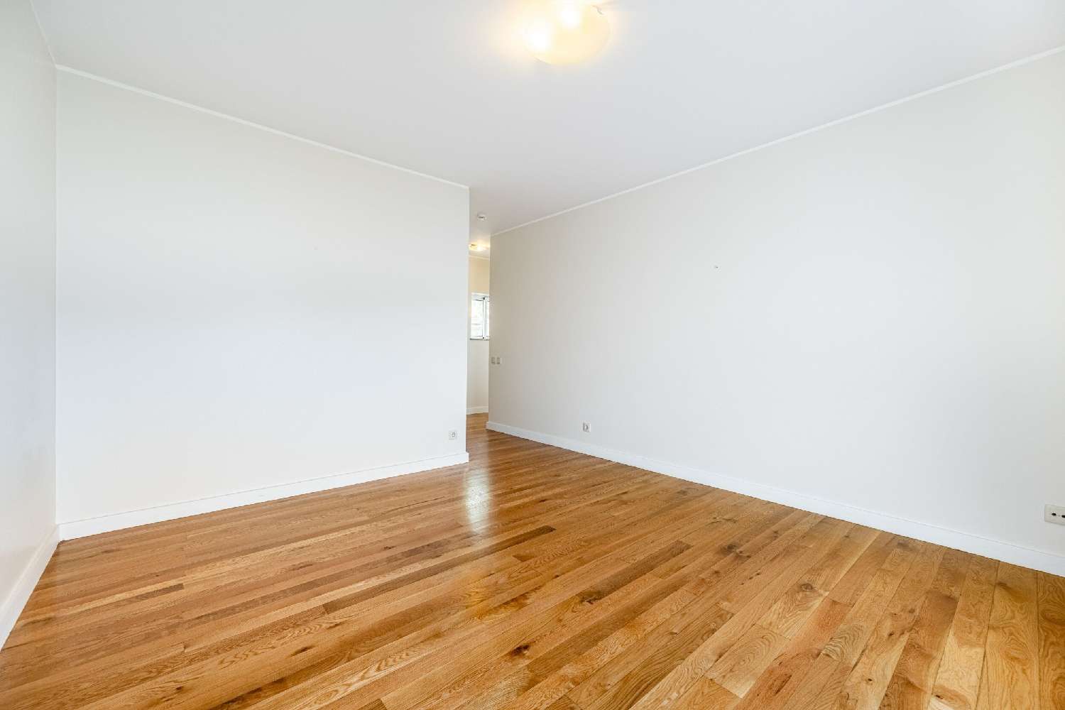  te koop huis Braga Braga 5