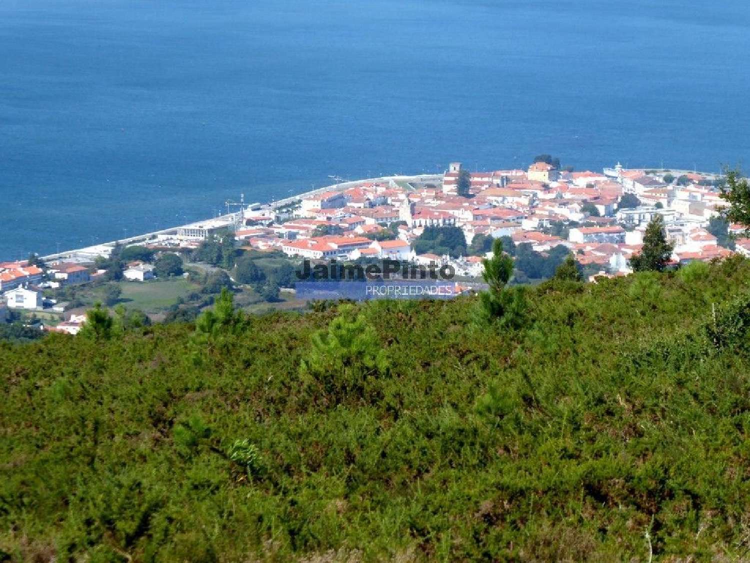  te koop huis Caminha Caminha 1