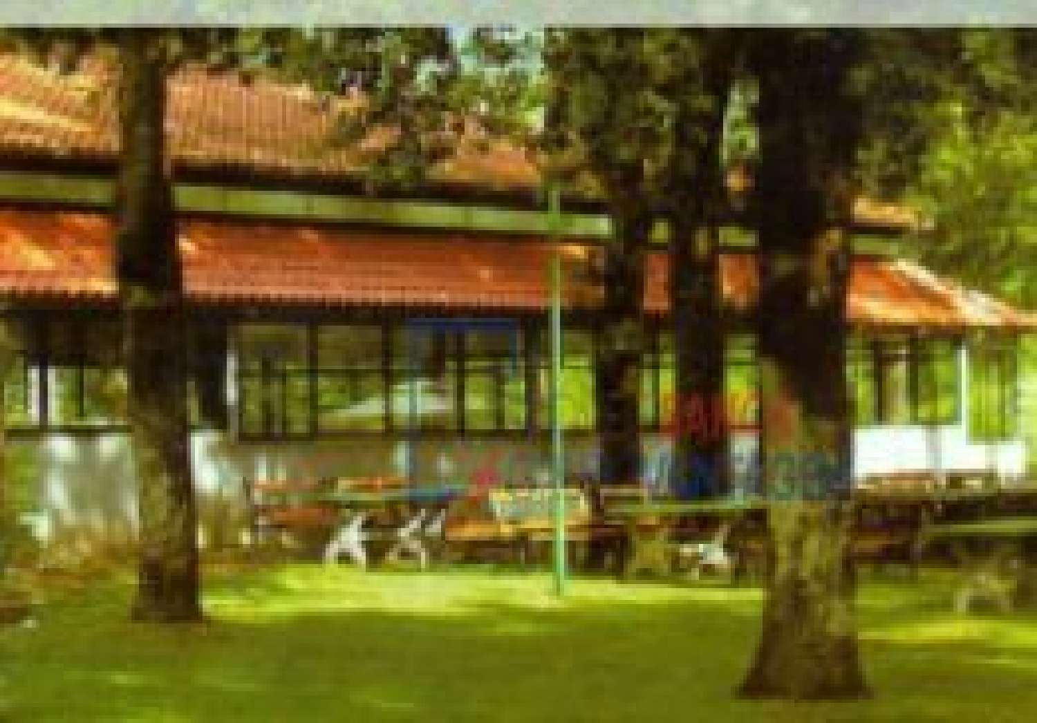 te koop huis Gemieira Ponte De Lima 2