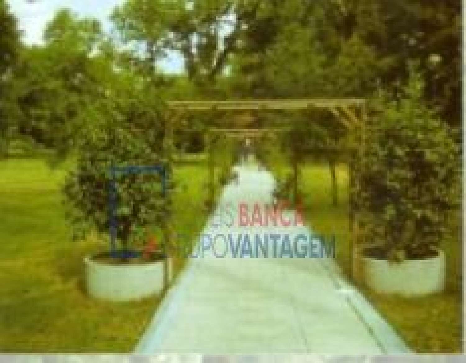 te koop huis Gemieira Ponte De Lima 3