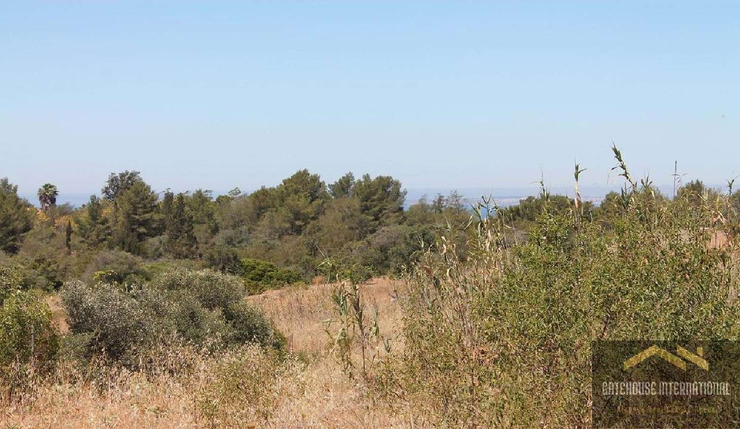  te koop huis Lagoa Pombal 1