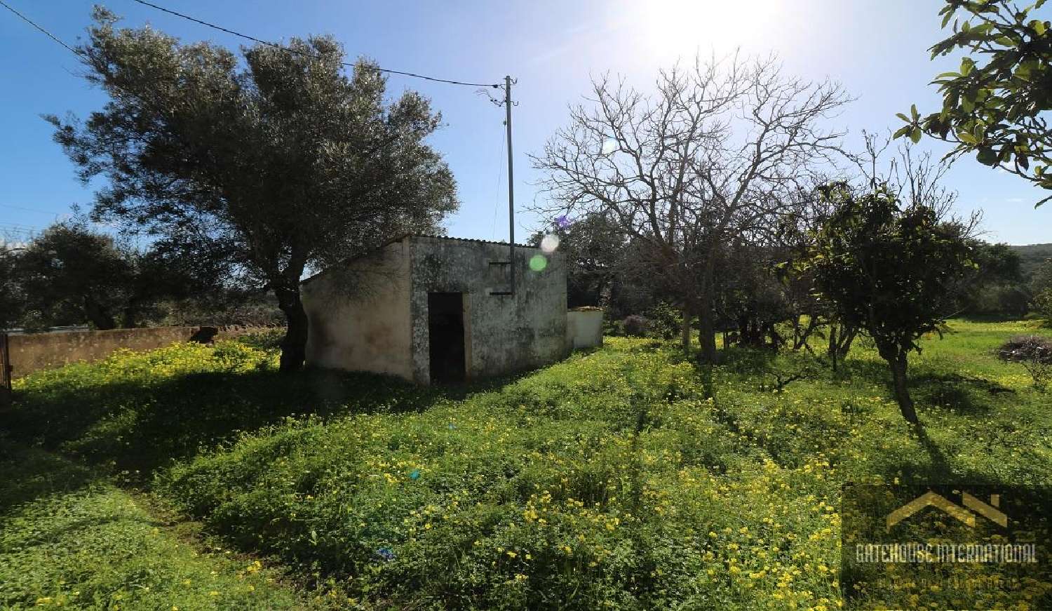  te koop huis Loulé Loulé 7