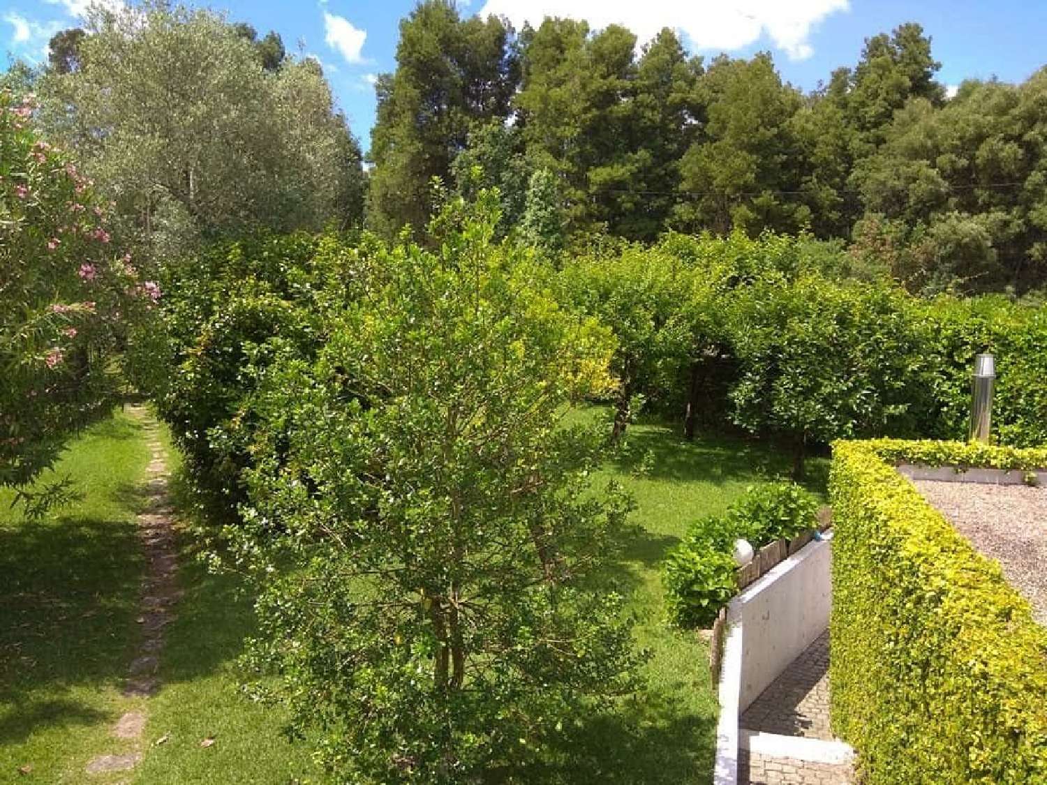  kaufen Haus Santo Emilião Póvoa De Lanhoso 6
