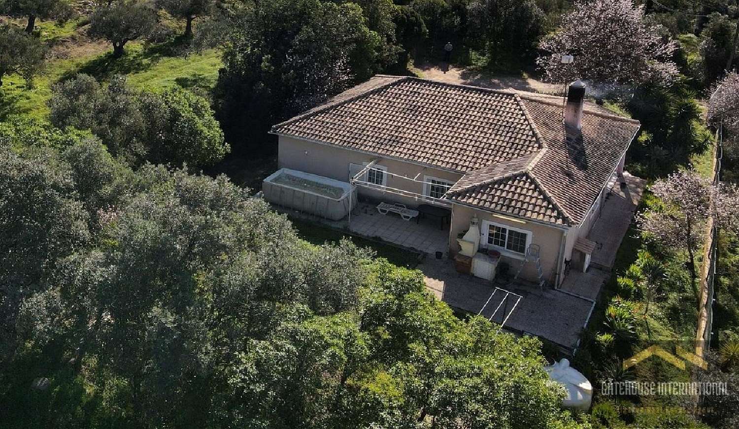 kaufen Haus São Brás de Alportel São Brás De Alportel 3