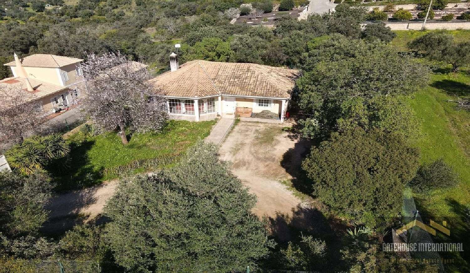  kaufen Haus São Brás de Alportel São Brás De Alportel 5