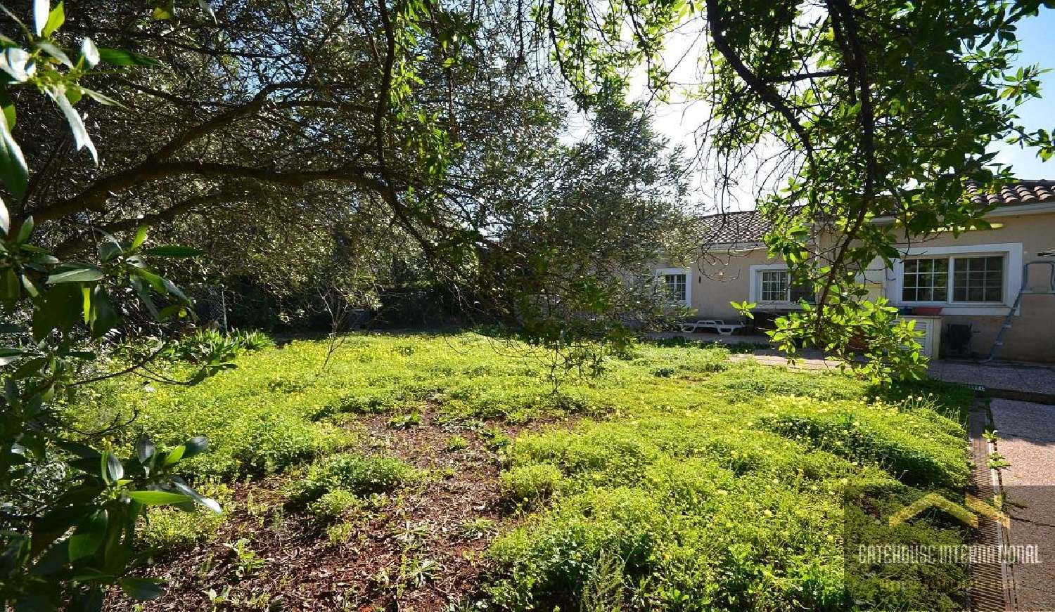  kaufen Haus São Brás de Alportel São Brás De Alportel 7