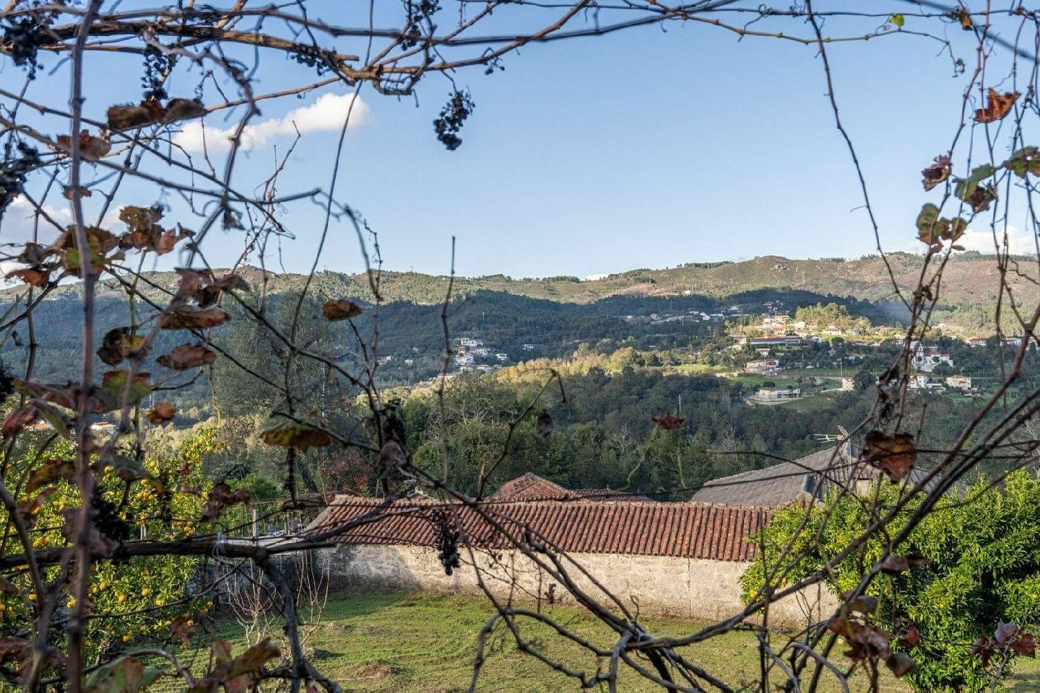  te koop huis Sobradelo da Goma Póvoa De Lanhoso 8
