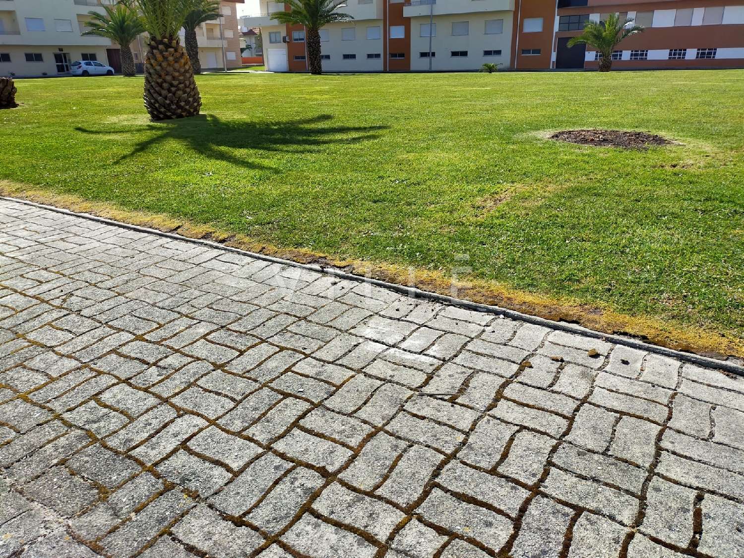  te koop huis Vagos Vagos 6