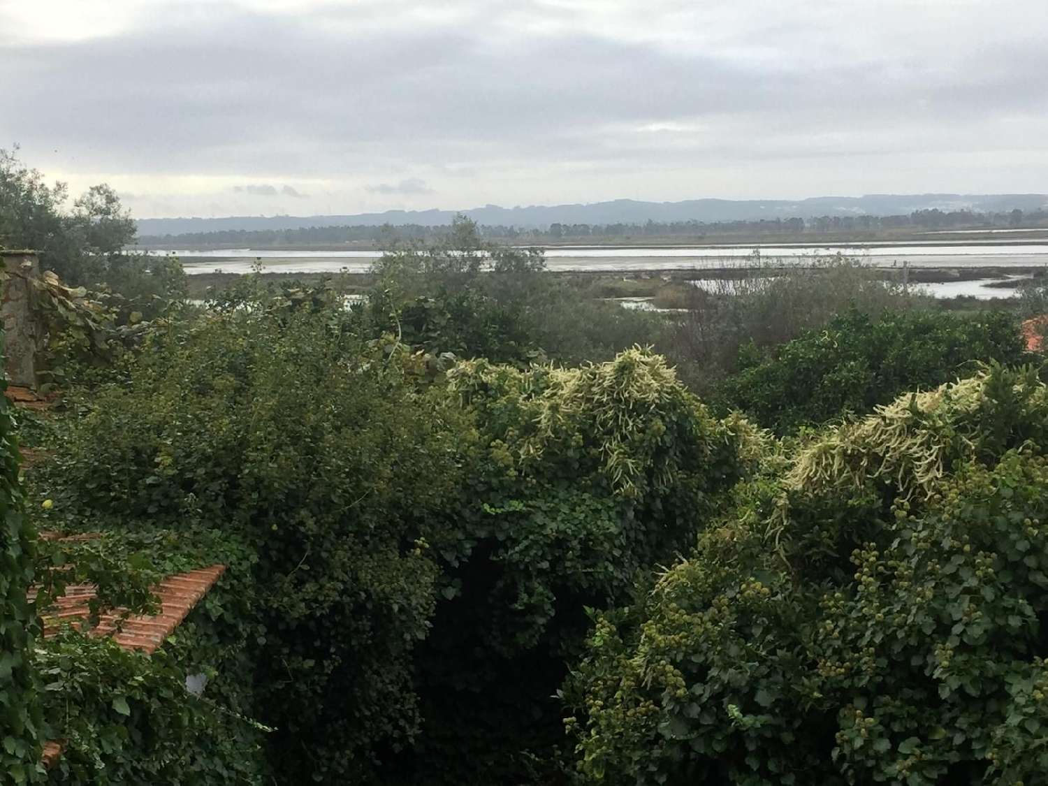  te koop huis Vila Verde Figueira Da Foz 1