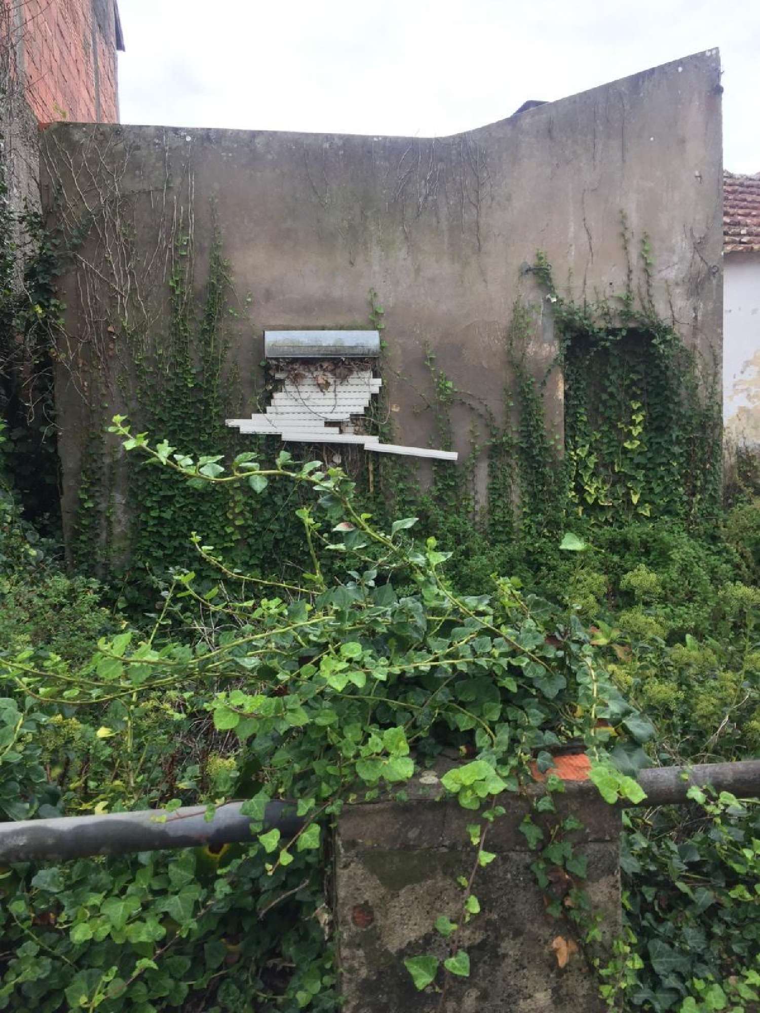  te koop huis Vila Verde Figueira Da Foz 2