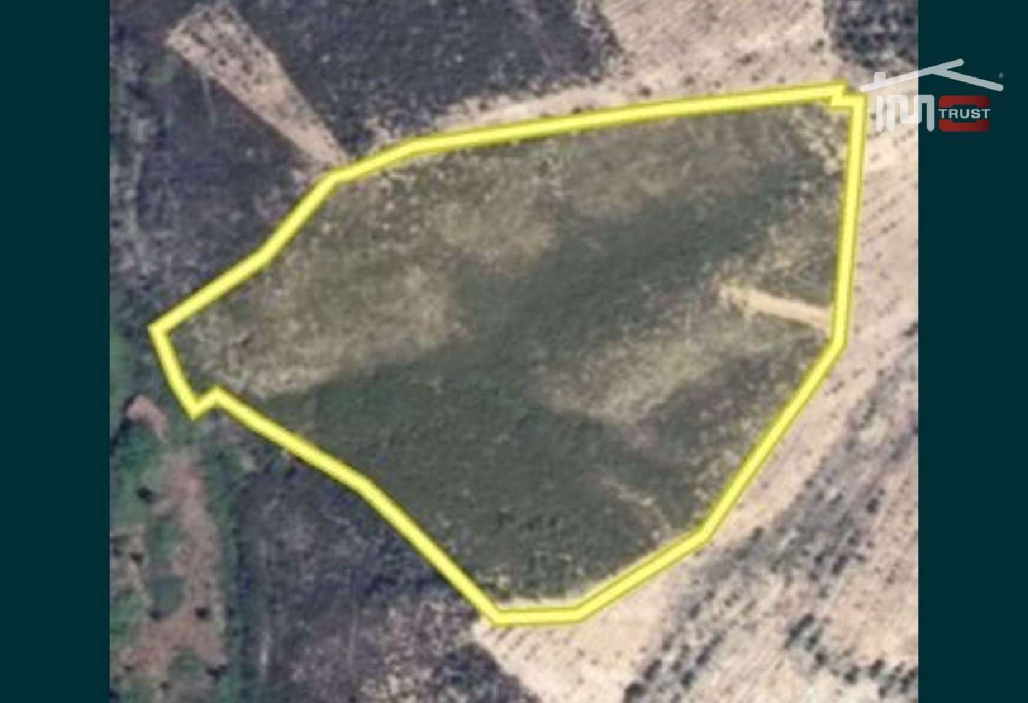  te koop terrein Aboboreira Mação 2