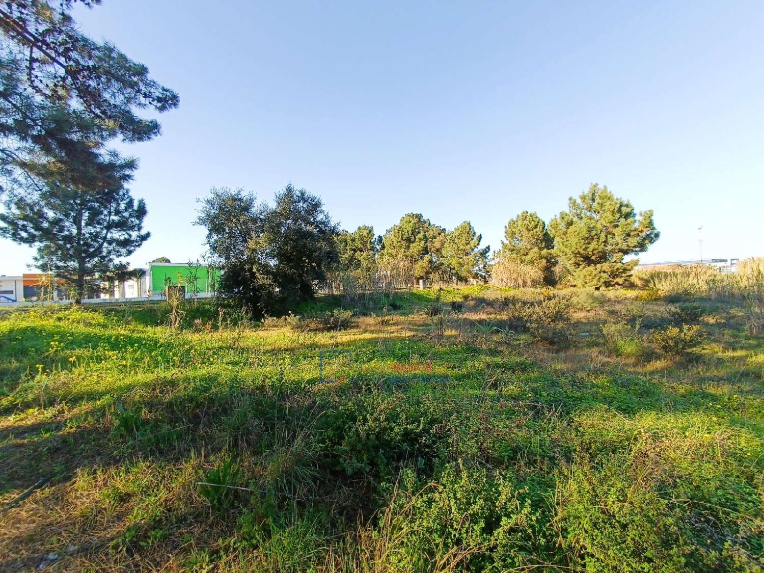  te koop terrein Benavente Benavente 3