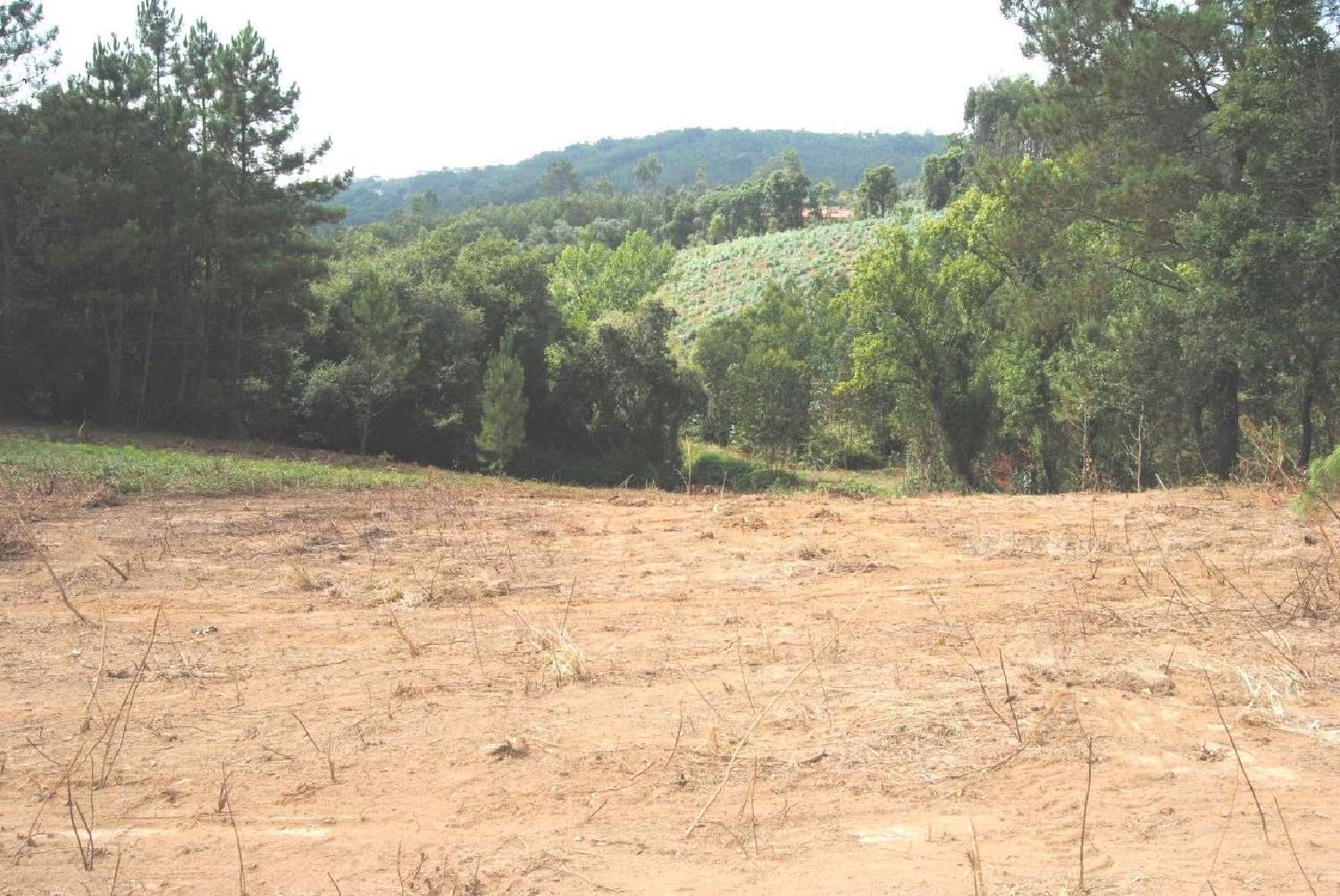  te koop terrein Benedita Alcobaça 4