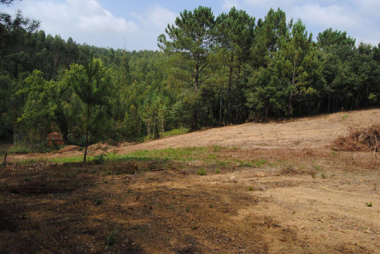  te koop terrein Benedita Alcobaça 5