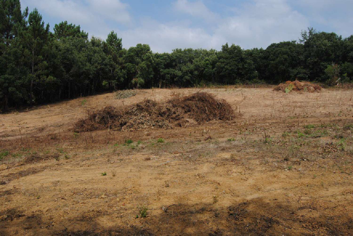  te koop terrein Benedita Alcobaça 7