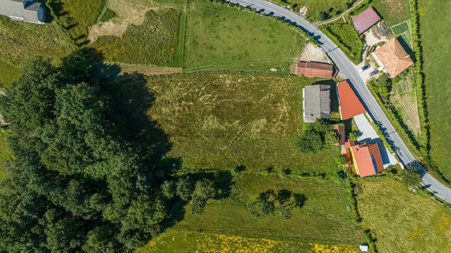  köpa tomt Braga Braga 6