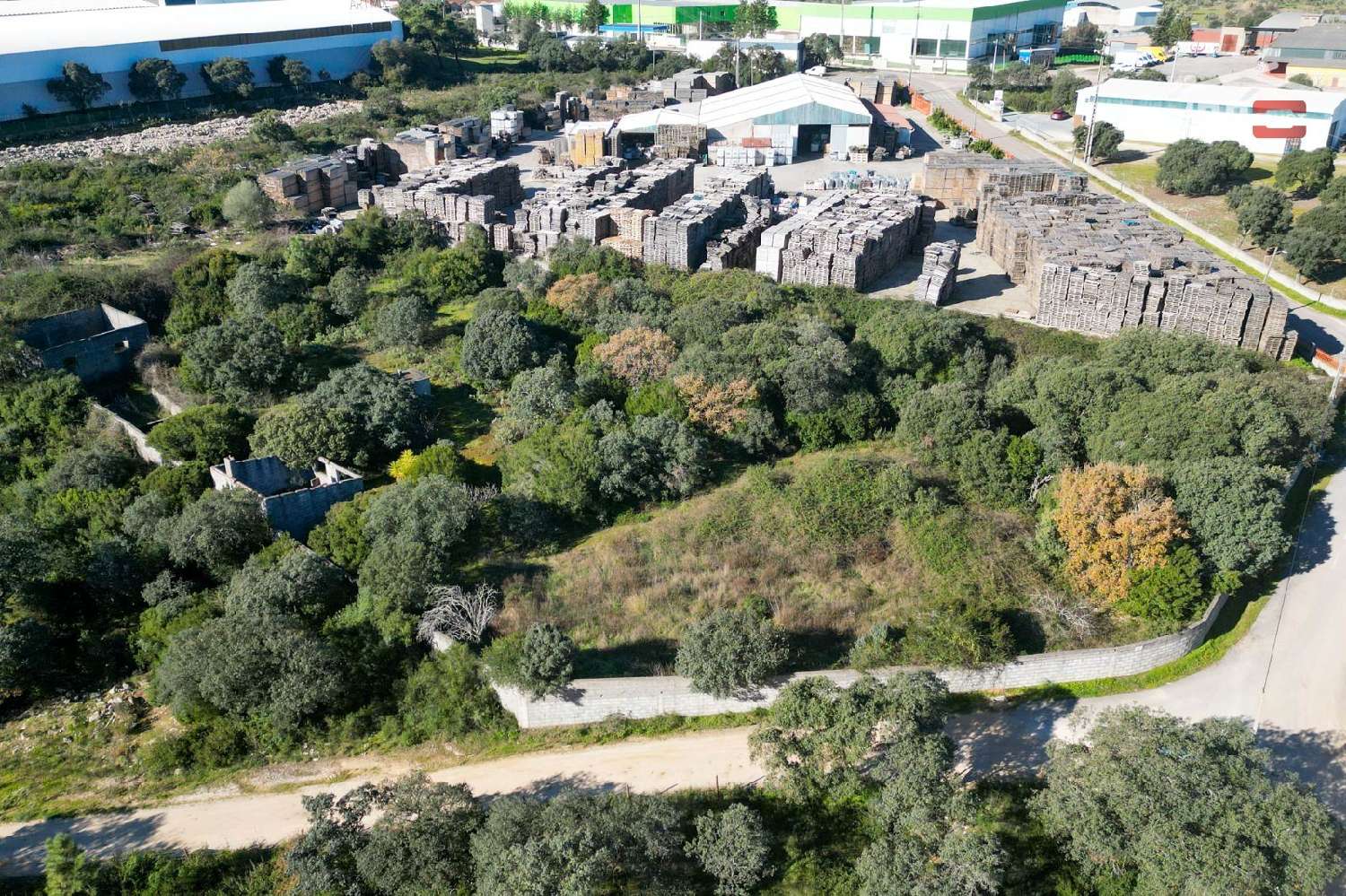  à vendre terrain Casal dos Abades Ourém 1