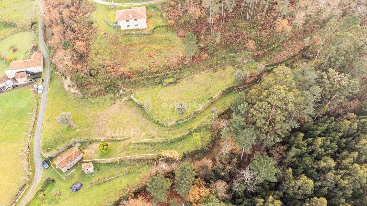 te koop terrein Cinfães Cinfães 2