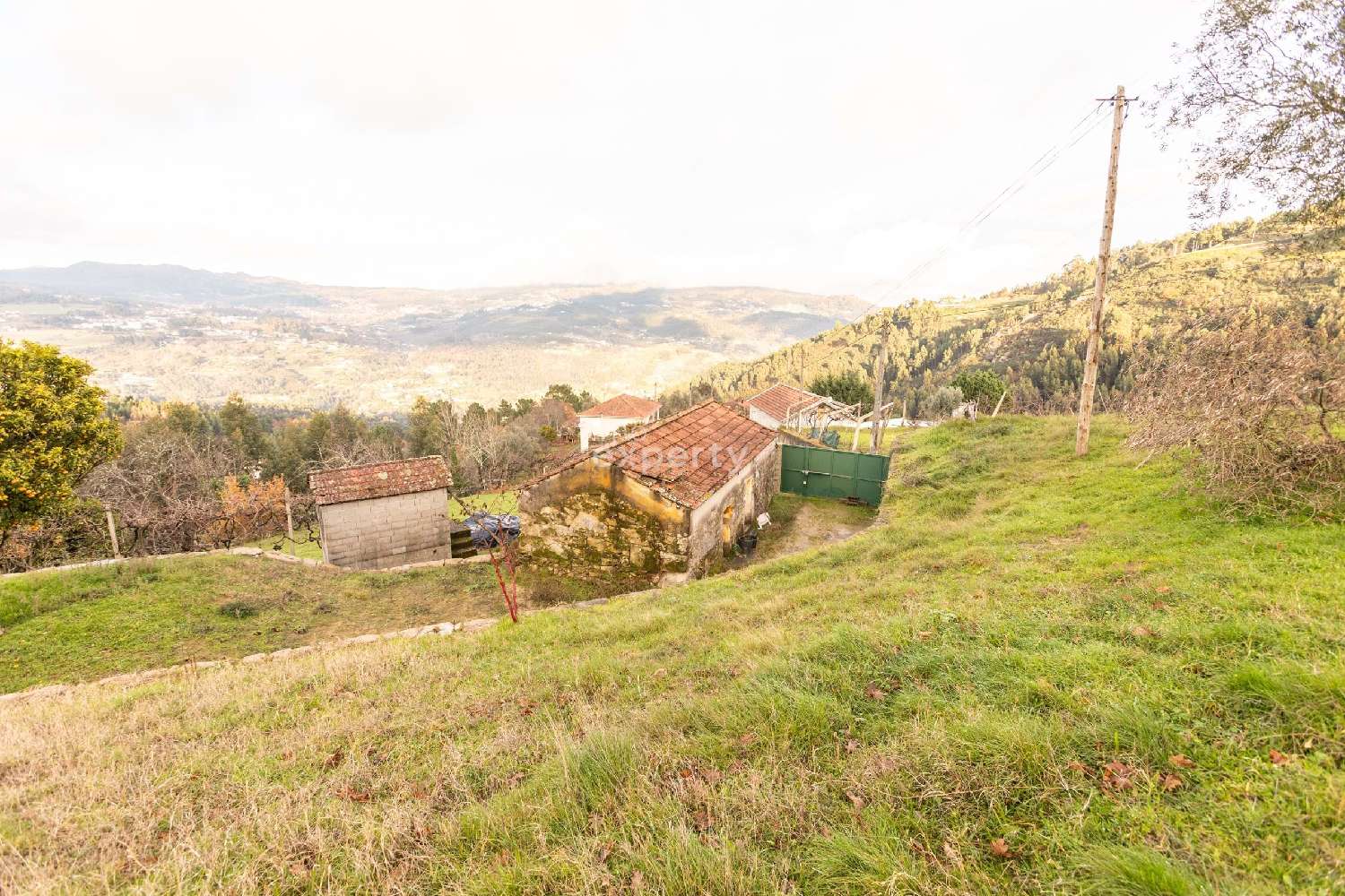 te koop terrein Cinfães Cinfães 5